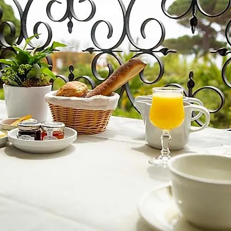 Hotel Saint Andre